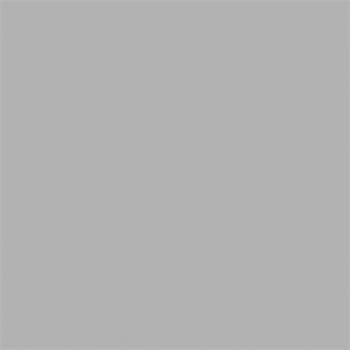 Superior Background Paper 72 Fossil Gray 2.72 x 11m Background Paper 2.72 x 11m