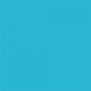 Falcon Eyes Background Paper 60 Wedgewood 2,75 x 11m