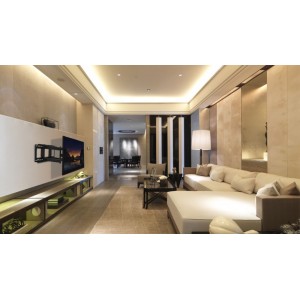 reflecta PLEXO 100-9060T 23158 (60"-100") 