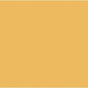 Falcon Eyes Background Paper 13 Buttercup 1.35x11 m