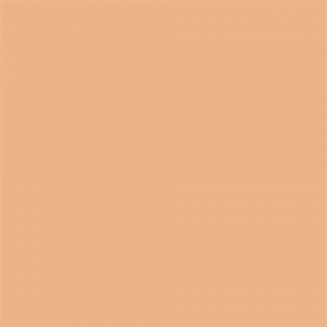 Falcon Eyes Background Paper 0026 Pongee 1.35x11 m