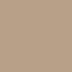 Falcon Eyes Background Paper 0025 Beige 1.35x11 m