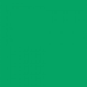 Falcon Eyes Background Paper 46 Chroma Green 2.18 x11m