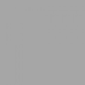 Linkstar Background Cloth AD-03 2,9x5 m Grey Washable