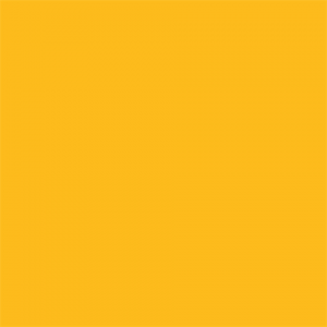 Superior Background Paper 14 Forsythia Yellow 2.72 x 11m