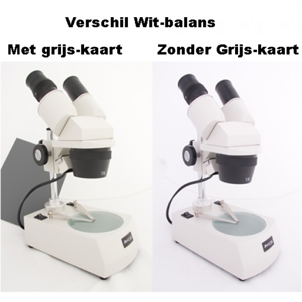 Falcon Eyes Grey Cards 1x A5, 1x 10x15 + Instruction CD Gray Cards