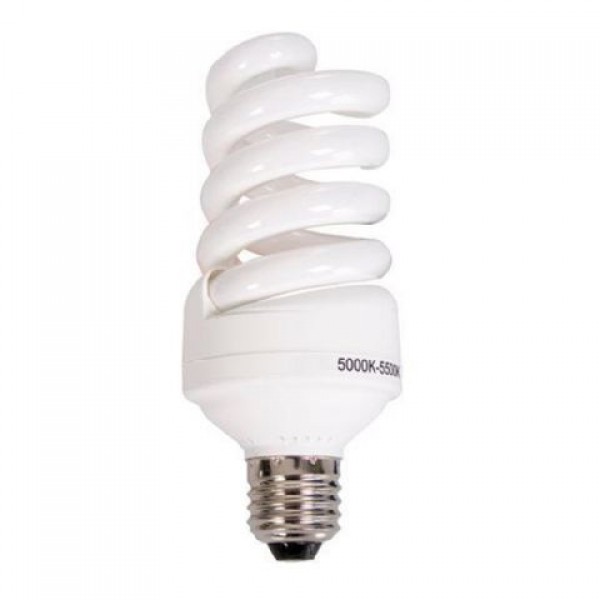 StudioKing 40W Spare Lamp for WTK75 Λάμπες Studio & Lampholder