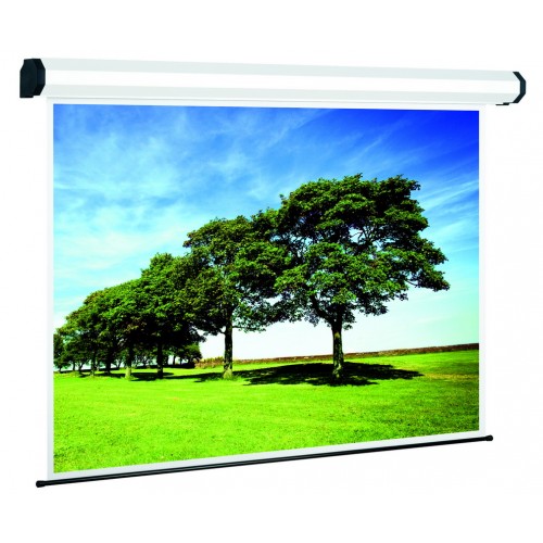 Reflecta Motor WhiteLine GF 600x485 cm (viewing area 590x445)