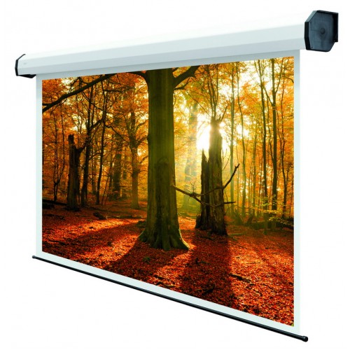 Reflecta Motor WhiteLine GF 600x485 cm (viewing area 590x445)